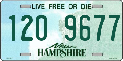 NH license plate 1209677