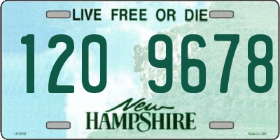 NH license plate 1209678
