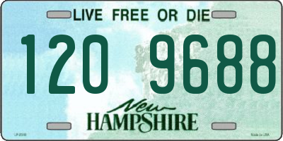 NH license plate 1209688
