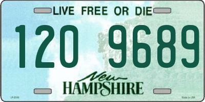 NH license plate 1209689
