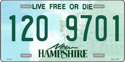 NH license plate 1209701