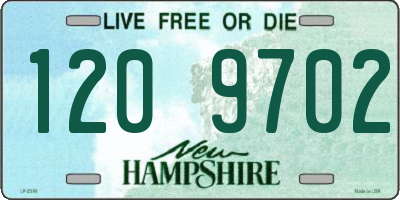 NH license plate 1209702