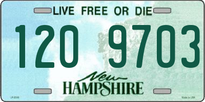 NH license plate 1209703