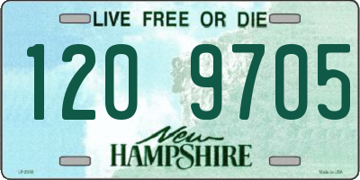 NH license plate 1209705