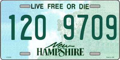NH license plate 1209709