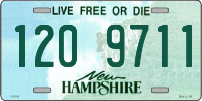 NH license plate 1209711