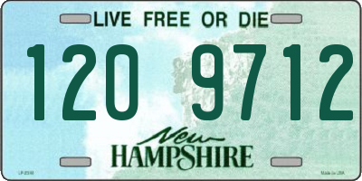 NH license plate 1209712