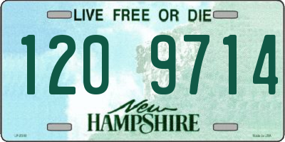 NH license plate 1209714