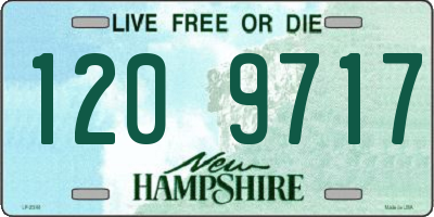 NH license plate 1209717