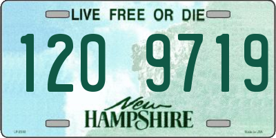 NH license plate 1209719