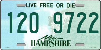 NH license plate 1209722