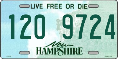 NH license plate 1209724