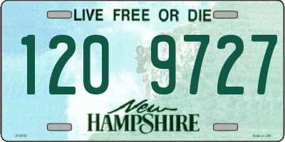 NH license plate 1209727