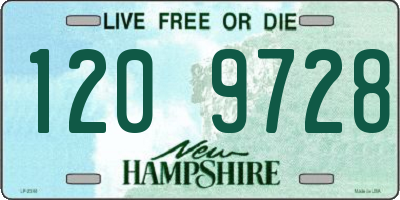 NH license plate 1209728