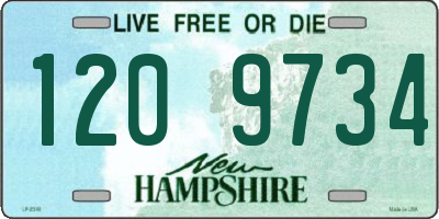 NH license plate 1209734