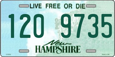 NH license plate 1209735