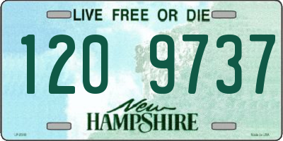 NH license plate 1209737