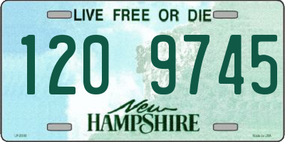 NH license plate 1209745