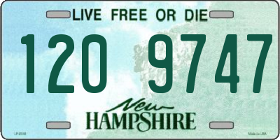 NH license plate 1209747