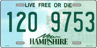 NH license plate 1209753