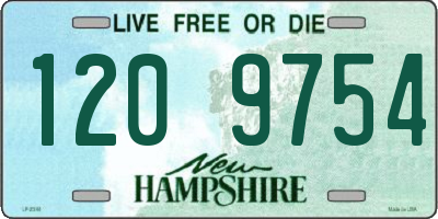 NH license plate 1209754