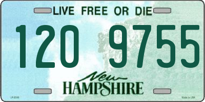 NH license plate 1209755