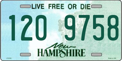 NH license plate 1209758