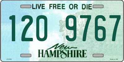 NH license plate 1209767