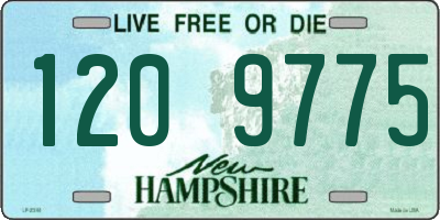 NH license plate 1209775