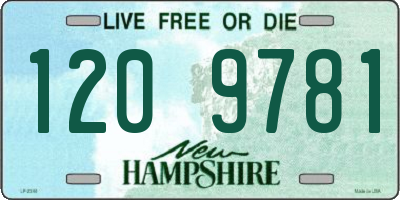 NH license plate 1209781