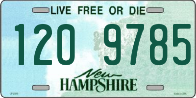 NH license plate 1209785