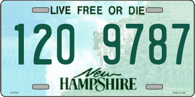 NH license plate 1209787