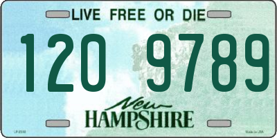 NH license plate 1209789
