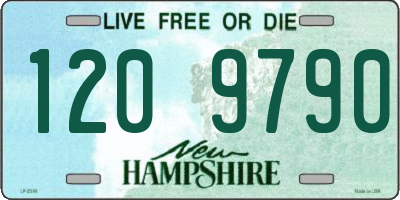 NH license plate 1209790