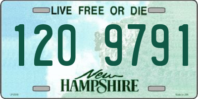 NH license plate 1209791