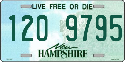 NH license plate 1209795