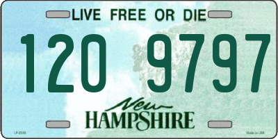 NH license plate 1209797