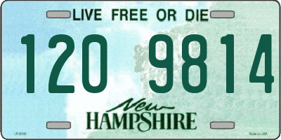 NH license plate 1209814
