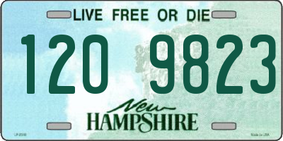 NH license plate 1209823