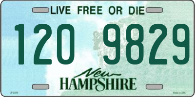 NH license plate 1209829