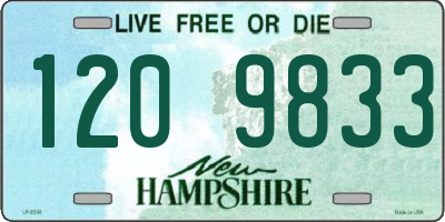 NH license plate 1209833