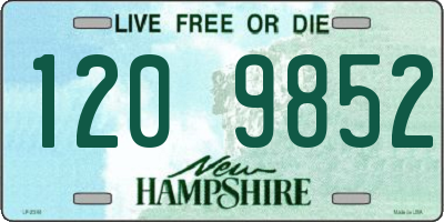 NH license plate 1209852
