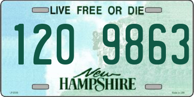 NH license plate 1209863