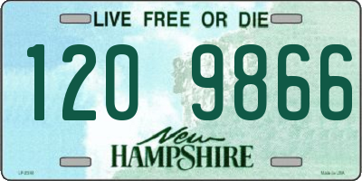 NH license plate 1209866
