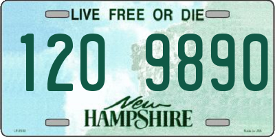 NH license plate 1209890