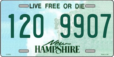 NH license plate 1209907