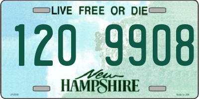 NH license plate 1209908