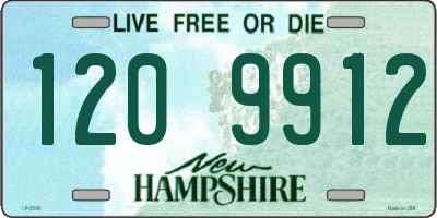 NH license plate 1209912