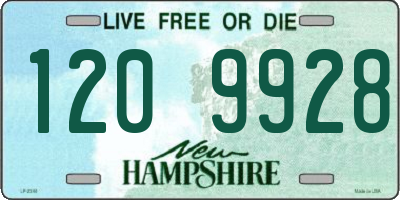 NH license plate 1209928