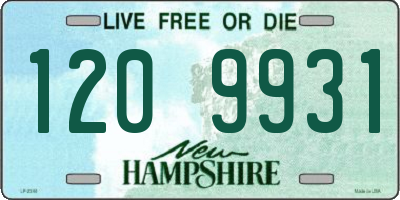 NH license plate 1209931